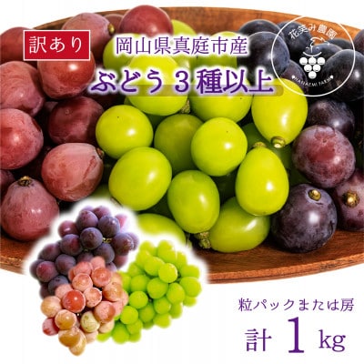 【2026年先行受付】岡山　花笑み農園のブドウ『訳あり3種以上MIX』1kg　W3M-1