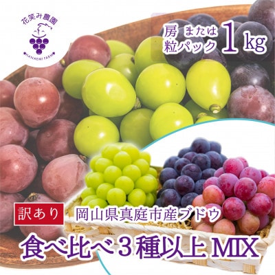 【2026年先行受付】岡山　花笑み農園のブドウ『訳あり3種以上MIX』1kg　W3M-1