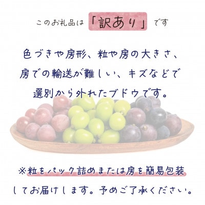 【2026年先行受付】岡山　花笑み農園のブドウ『訳あり3種以上MIX』1kg　W3M-1