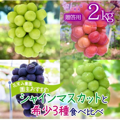 岡山　花笑み農園の『園主おすすめブドウ4種セット』贈答用　2kg(4房)4M-2R上【9月中旬～】