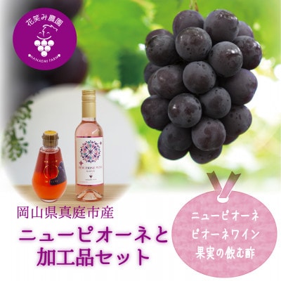 岡山　花笑み農園『ピオーネ&ピオーネワイン&飲む酢ピオーネ』　ピオーネと加工品セット　P-WN
