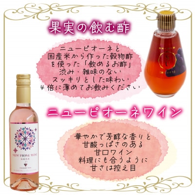 岡山　花笑み農園『ピオーネ&ピオーネワイン&飲む酢ピオーネ』　ピオーネと加工品セット　P-WN