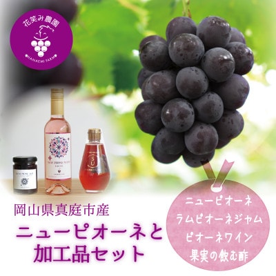 岡山　花笑み農園『ピオーネ&ラムピオーネジャム&ワイン&飲む酢』　ピオーネと加工品セットP-JWN