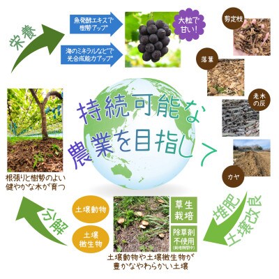 岡山　花笑み農園『ピオーネ&ラムピオーネジャム&ワイン&飲む酢』P-JWN