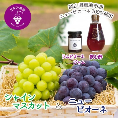 【2026年先行受付】岡山　花笑み農園『ピオーネ&シャインマスカット&ジャム&飲む酢』PS-JN