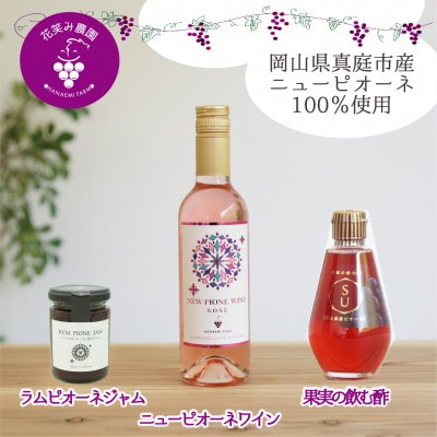 岡山　花笑み農園のピオーネ加工品3種セット『ラムピオーネジャム&ピオーネワイン&飲む酢』JWN