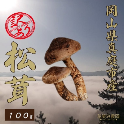 花笑み農園　岡山県産　訳あり『松茸』100g(1～4本)