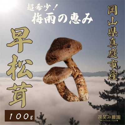 花笑み農園　超希少!早『松茸』100g　～梅雨の恵み～(6～7月発送)