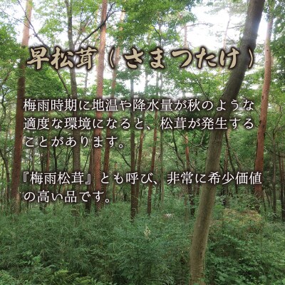花笑み農園　超希少!早『松茸』100g　～梅雨の恵み～(6～7月発送)