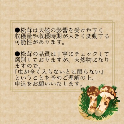 花笑み農園　超希少!早『松茸』100g　～梅雨の恵み～(6～7月発送)