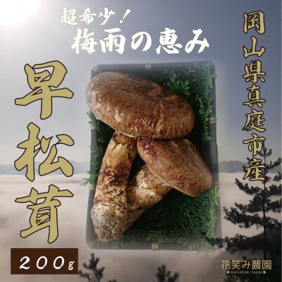 花笑み農園　超希少!早『松茸』200g　～梅雨の恵み～(6～7月発送)
