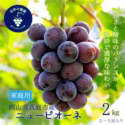 【2026年先行予約】岡山　花笑み農園の『ニューピオーネ』家庭用　約2kg(3～5房)　P-2家