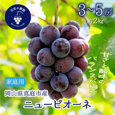 【2026年先行予約】岡山　花笑み農園の『ニューピオーネ』家庭用　約2kg(3～5房)　P-2家