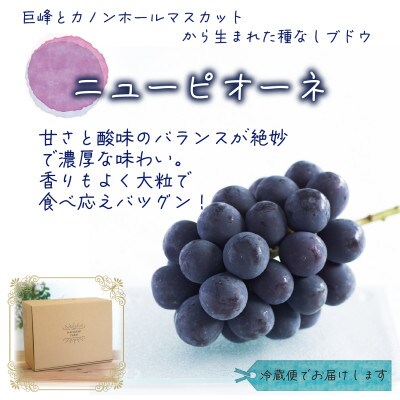 【2026年先行予約】岡山　花笑み農園の『ニューピオーネ』家庭用　約2kg(3～5房)　P-2家