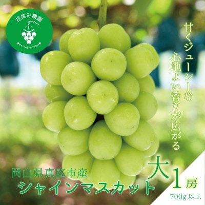 【2026年先行受付】岡山　花笑み農園の『シャインマスカット』700g以上(大1房)S-大1