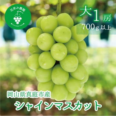 【2026年先行受付】岡山　花笑み農園の『シャインマスカット』700g以上(大1房)S-大1
