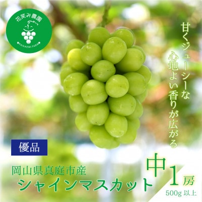 【2026年先行予約】岡山　花笑み農園の 『シャインマスカット』500g以上(中1房)　S-中1