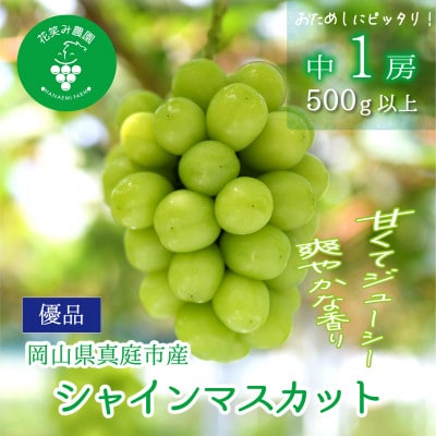 【2026年先行予約】岡山　花笑み農園の 『シャインマスカット』500g以上(中1房)　S-中1