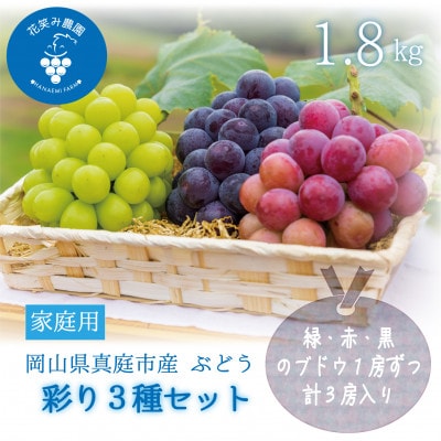 【2026年先行受付】岡山　花笑み農園のブドウ『彩り3種セット』家庭用　1.8kg(3房)3M-2家