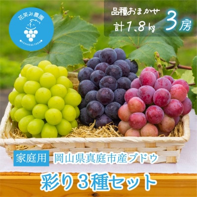 【2026年先行受付】岡山　花笑み農園のブドウ『彩り3種セット』家庭用　1.8kg(3房)3M-2家