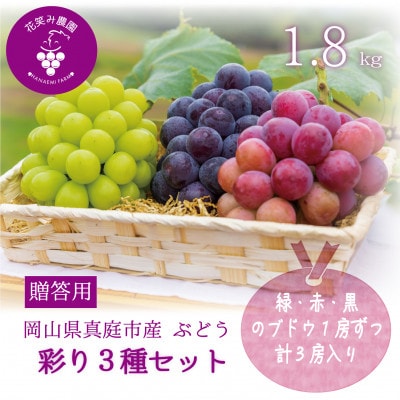【2026年先行受付】岡山　花笑み農園のブドウ『彩り3種セット』贈答用　1.8kg(3房)3M-2上