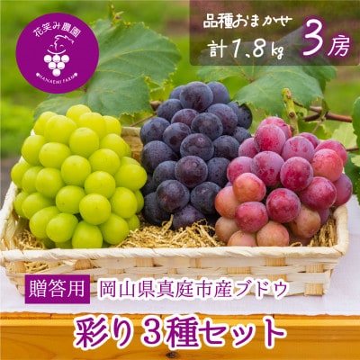 【2026年先行受付】岡山　花笑み農園のブドウ『彩り3種セット』贈答用　1.8kg(3房)3M-2上