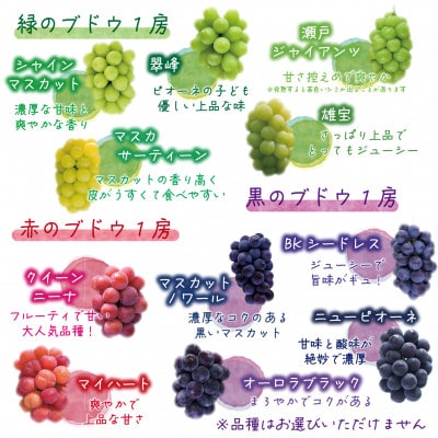 【2026年先行受付】岡山　花笑み農園のブドウ『彩り3種セット』贈答用　1.8kg(3房)3M-2上