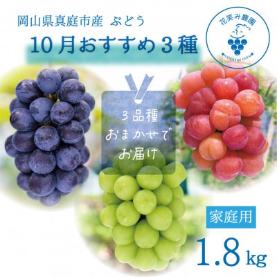 【2026年先行受付】岡山　花笑み農園の『10月おすすめ3種』家庭用　1.8kg(3房)3M-2L家