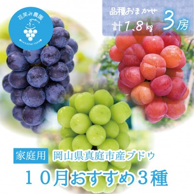 【2026年先行受付】岡山　花笑み農園の『10月おすすめ3種』家庭用　1.8kg(3房)3M-2L家