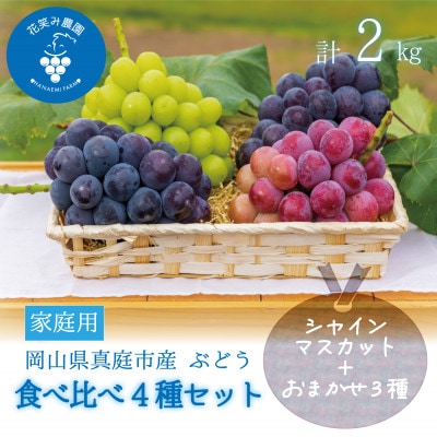 【2026年先行受付】岡山　花笑み農園の『食べ比べ4種』シャイン入り　家庭用　2kg(4房)4M-2