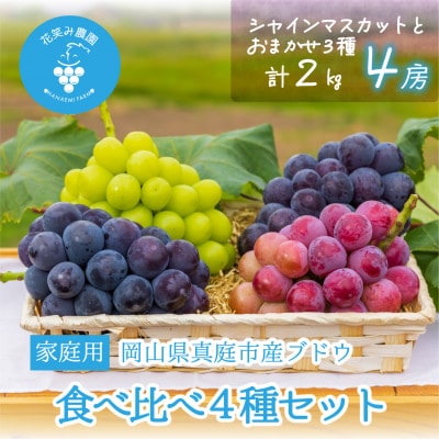 【2026年先行受付】岡山　花笑み農園の『食べ比べ4種』シャイン入り　家庭用　2kg(4房)4M-2
