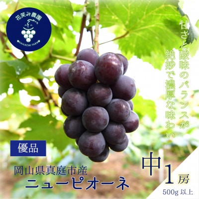 【2026年先行受付】岡山　花笑み農園の『ニューピオーネ』500g以上(中1房)　P-中1
