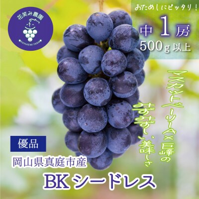 【2026年先行受付】岡山　花笑み農園の『BKシードレス』500g以上(中1房)　B-中1
