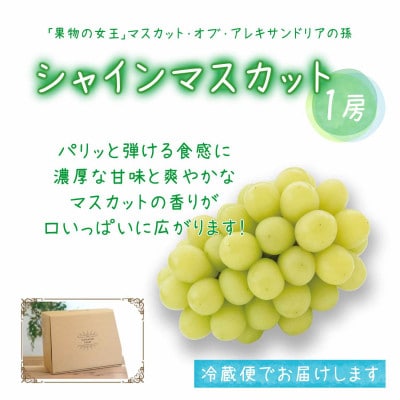 岡山　花笑み農園の『園主おすすめブドウ4種セット』家庭用　2kg(4房)4M-2R家【9月中旬～】