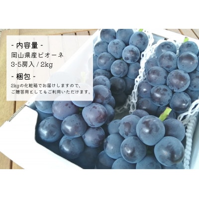 【きよとうファーム】ピオーネ 上級品3-5房入/計2kg～(岡山県産)