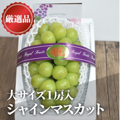 【きよとうファーム】【厳選品】大粒シャインマスカット1房/700g以上(岡山県産)