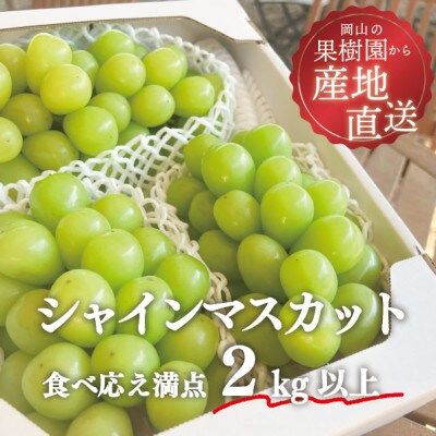 【きよとうファーム】シャインマスカット3-5房/計2kg～(岡山県産)