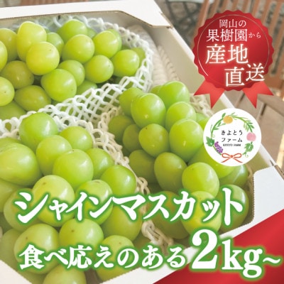 【きよとうファーム】シャインマスカット3-5房/計2kg～(岡山県産)