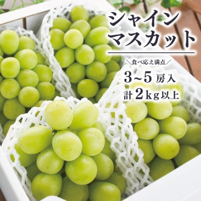【きよとうファーム】シャインマスカット3-5房/計2kg～(岡山県産)