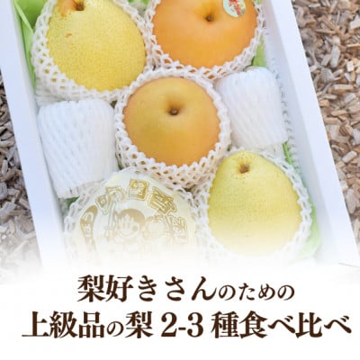 【きよとうファーム】梨好きのための、梨2-3種 食べ比べ 上級品 5-7玉(岡山県産)