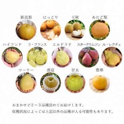 【きよとうファーム】梨好きのための、梨2-3種 食べ比べ 上級品 5-7玉(岡山県産)