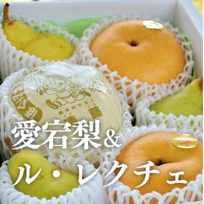 【きよとうファーム】あたご梨&ル・レクチェ 上級品/5-7玉入(岡山県産)