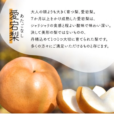 【きよとうファーム】あたご梨&ル・レクチェ 上級品/5-7玉入(岡山県産)