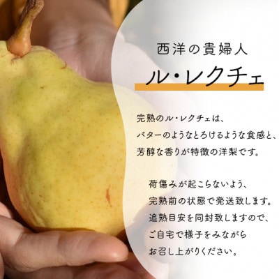 【きよとうファーム】あたご梨&ル・レクチェ 上級品/5-7玉入(岡山県産)