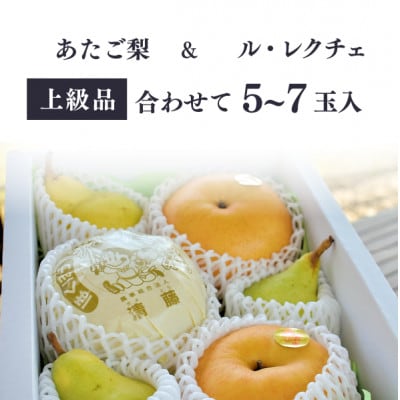 【きよとうファーム】あたご梨&ル・レクチェ 上級品/5-7玉入(岡山県産)