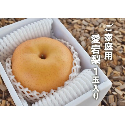 ご家庭用愛宕梨 1玉入