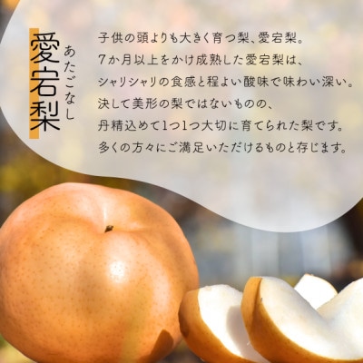 【きよとうファーム】あたご梨 上級品 3-6玉入(岡山県産)