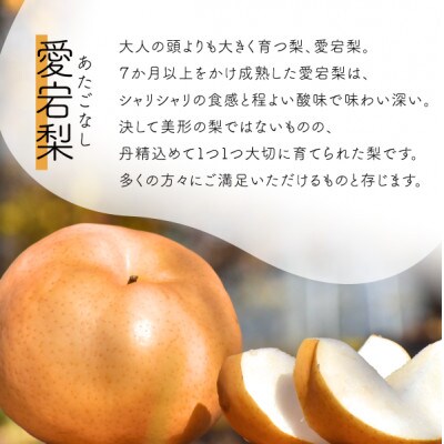 【きよとうファーム】【厳選品】あたご梨2玉入(1.3kg級/玉)(岡山県産)