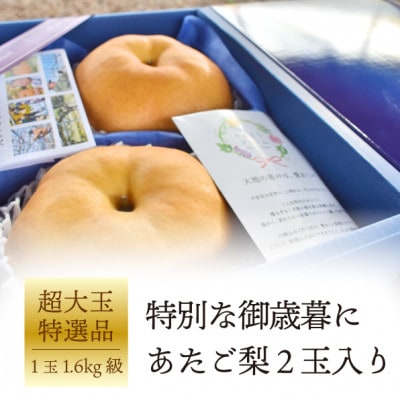 【きよとうファーム】【厳選品】あたご梨2玉入(1.6kg級/玉)(岡山県産)