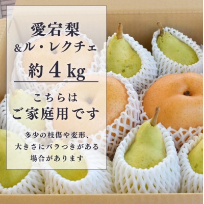 【きよとうファーム】あたご梨&ル・レクチェ ご家庭用/約4kg(岡山県産)